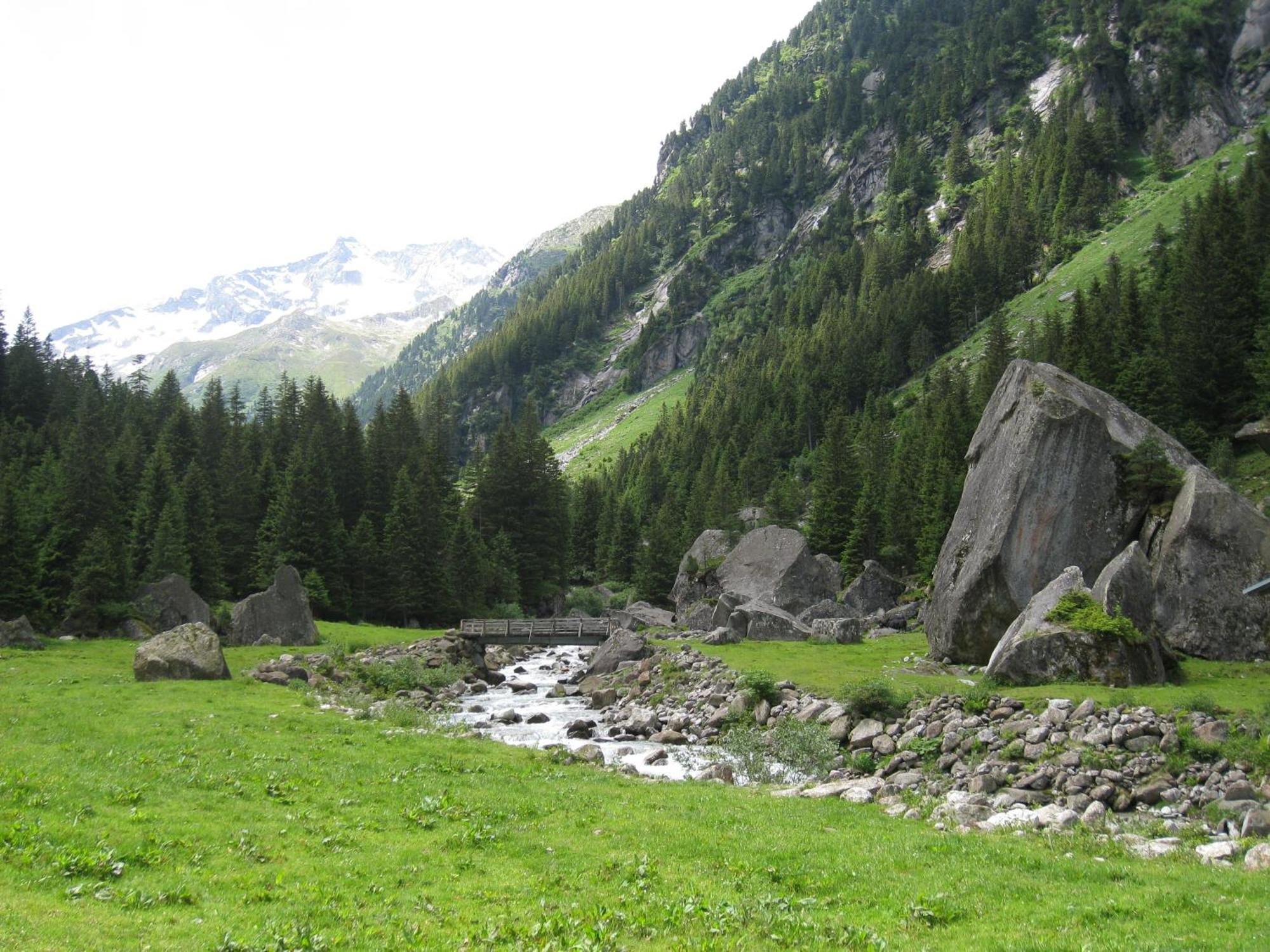 Haus Binder Hotel Ried im Zillertal Eksteriør billede