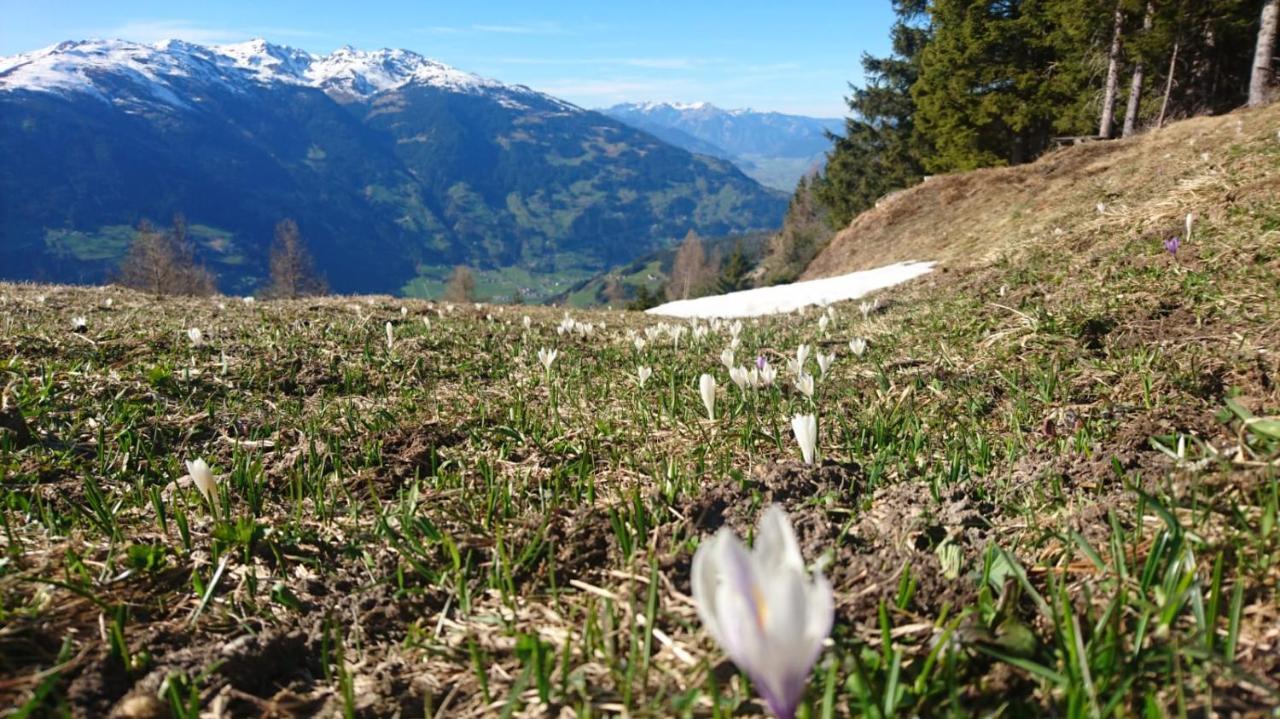 Haus Binder Hotel Ried im Zillertal Eksteriør billede